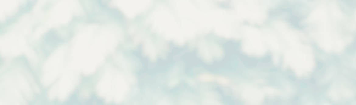 slide-01-bg-blur.jpg